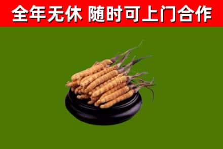 新平县烟酒回收冬虫夏草.jpg