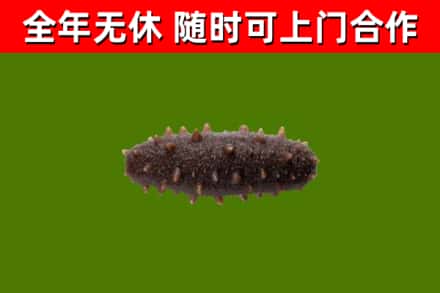 新平县烟酒回收干海参.jpg