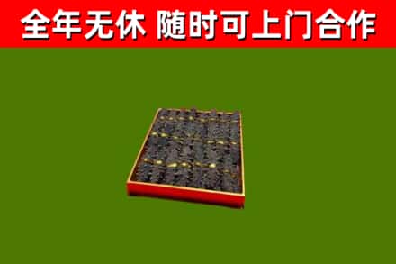 新平县回收海参